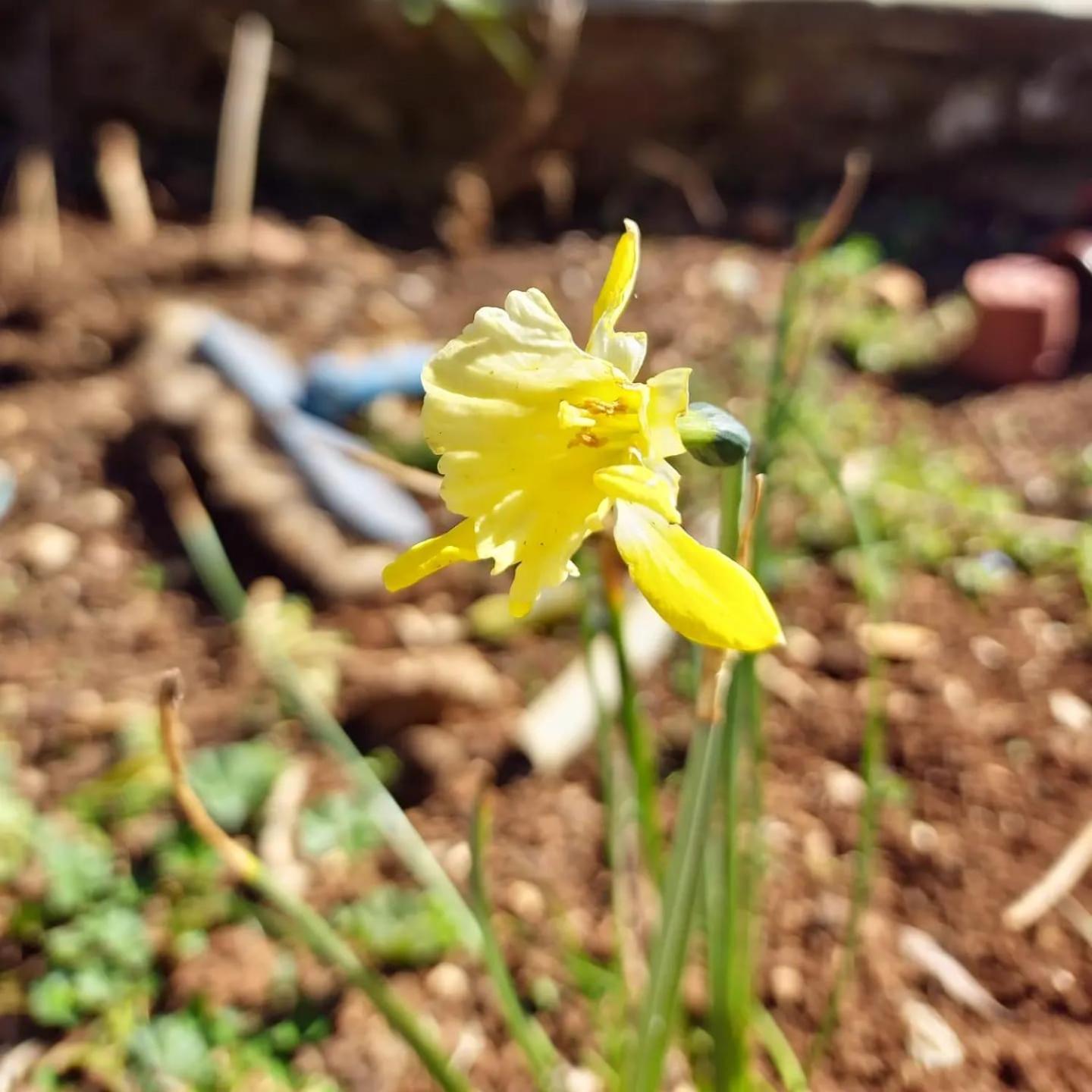 Villa Shuaipaj Gjirokastër Екстериор снимка