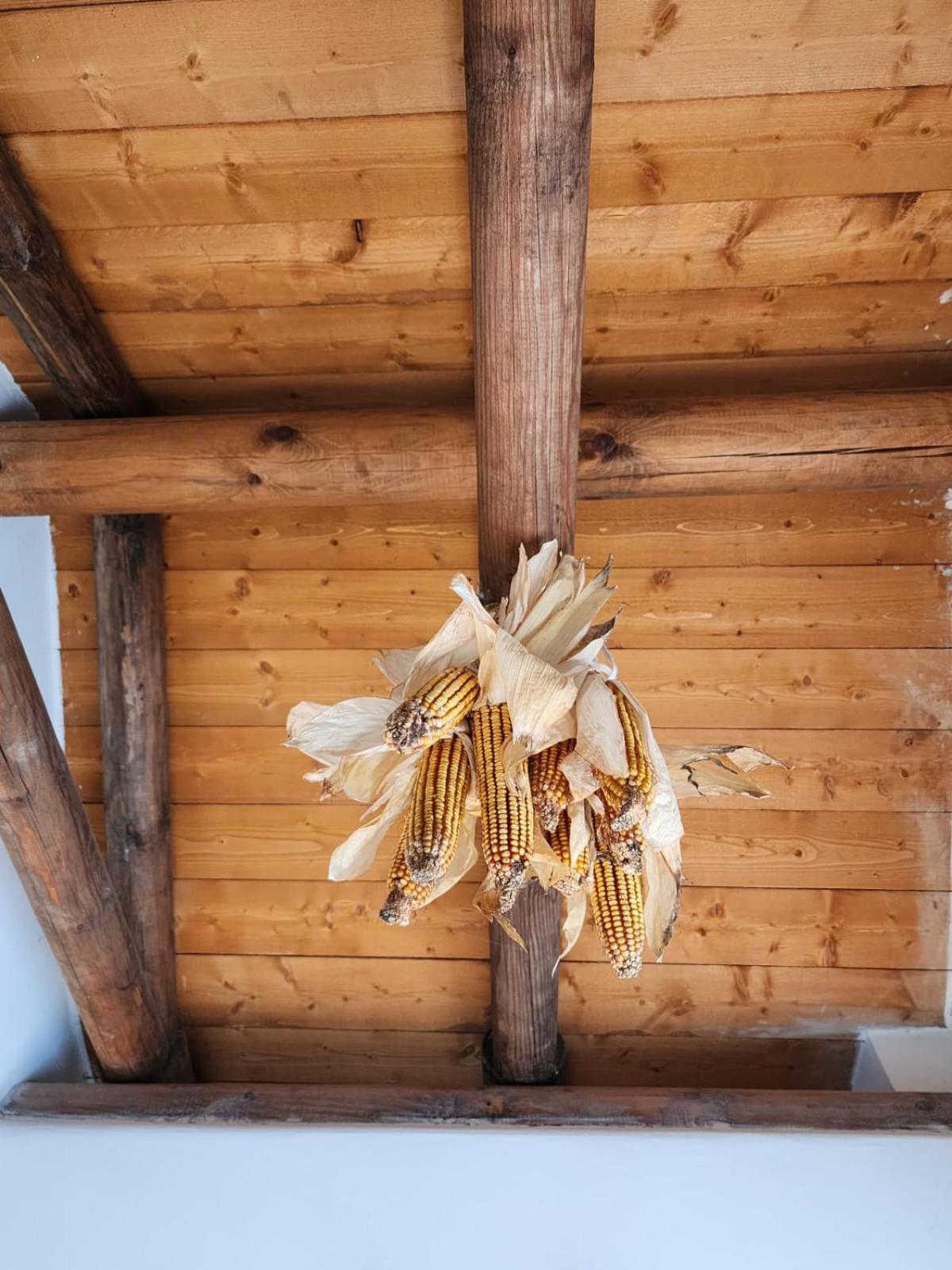 Villa Shuaipaj Gjirokastër Екстериор снимка